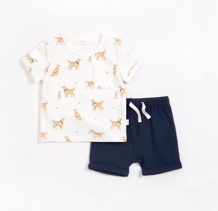 Golden Retriever Outfit Set – Babycakes Children's Boutique