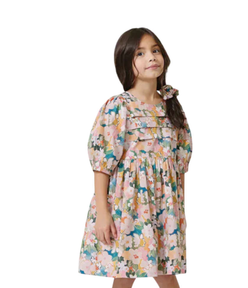 Girls Clothing (2T-6)