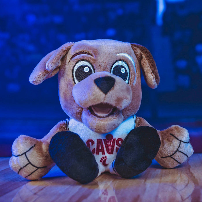 Bleacher Creature | Sitting Cavaliers Moondog