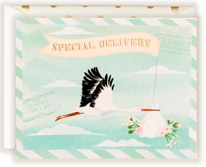 Special Delivery Stork