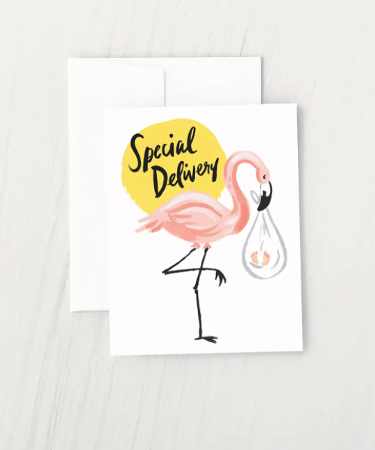 Flamingo Stork