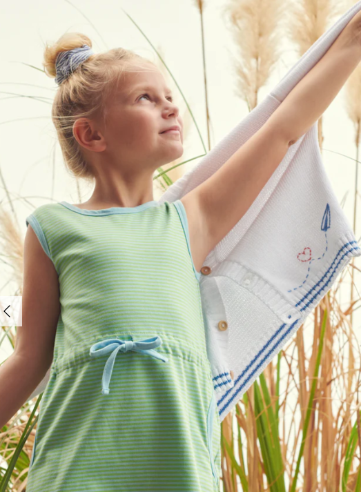 Cinched Waist Dress | Blue Green Thin Stripe