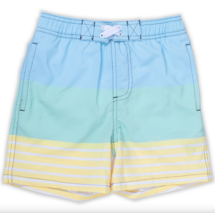 Stripe Colorblock Swim Trunks