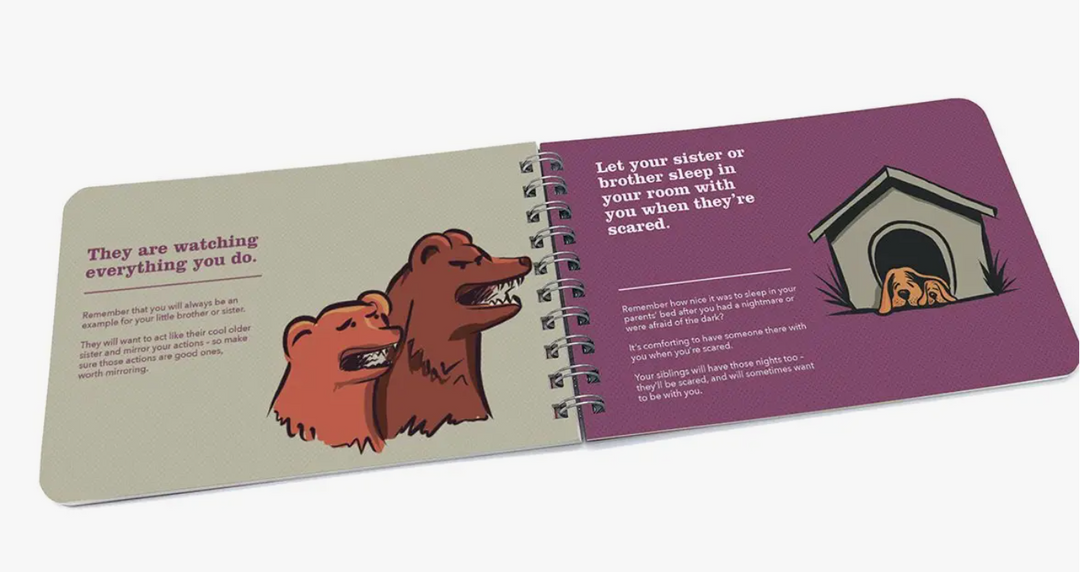 Being a Big Sister A Book of Guidance and Advice
