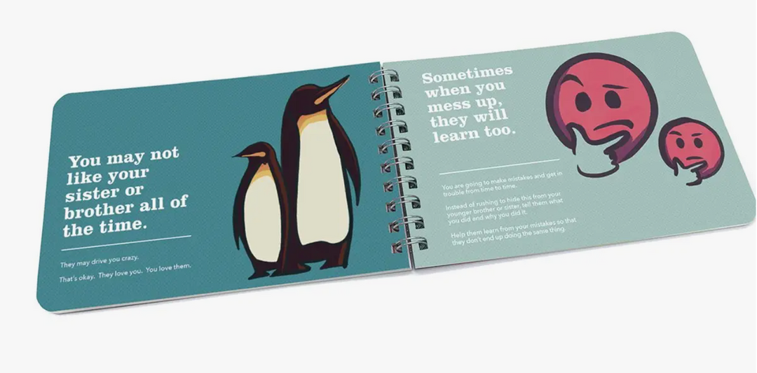 Being a Big Sister A Book of Guidance and Advice