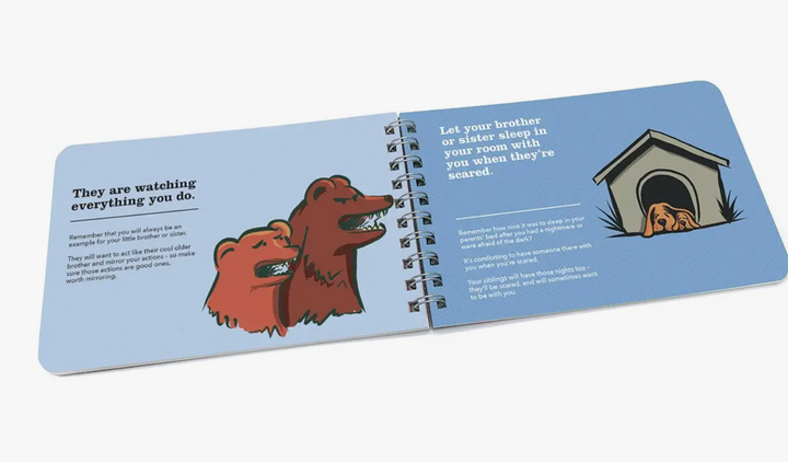 Being a Big Brother A Book of Guidance and Advice