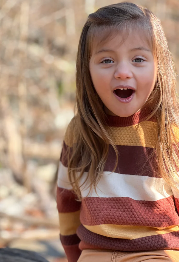 Phia  Sweater | Pumpkin/Brown Stripe