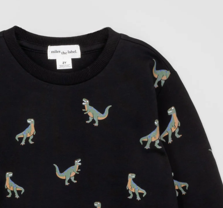 T-Rex Sweatshirt | Black