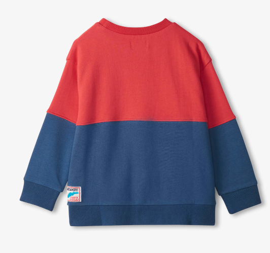 Color Block Anchor Sweatshirt