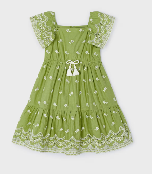 Green Embroidered Dress | 3933