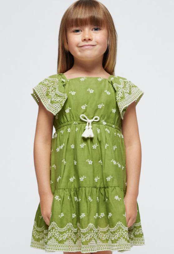 Green Embroidered Dress | 3933