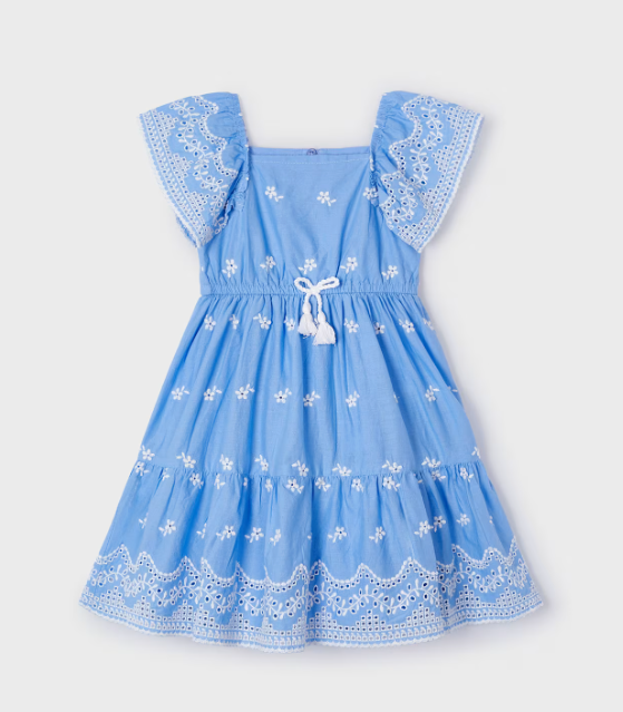 Blue Embroidered Dress | 3933