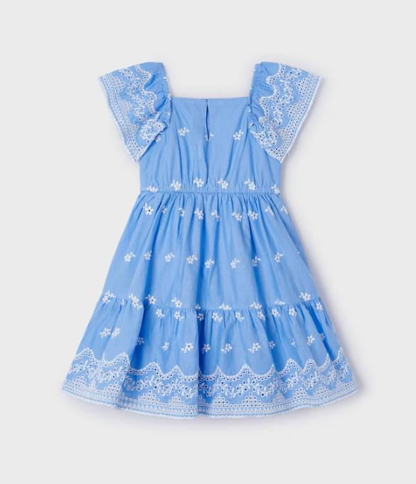 Blue Embroidered Dress | 3933