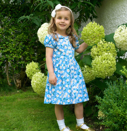 Blossom Button-front Dress