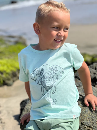 Falmouth Elephant Tee | Pale Green