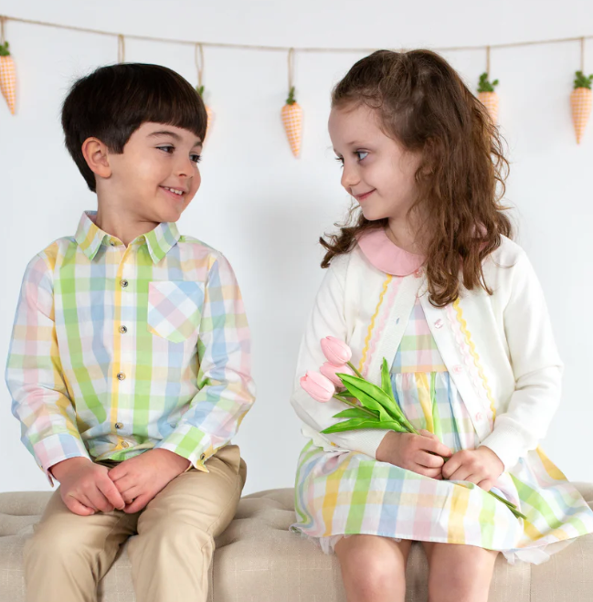 Perry Poplin Buttondown | Rainbow Gingham