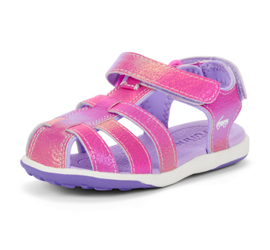 Paley II | Hot Pink/Purple