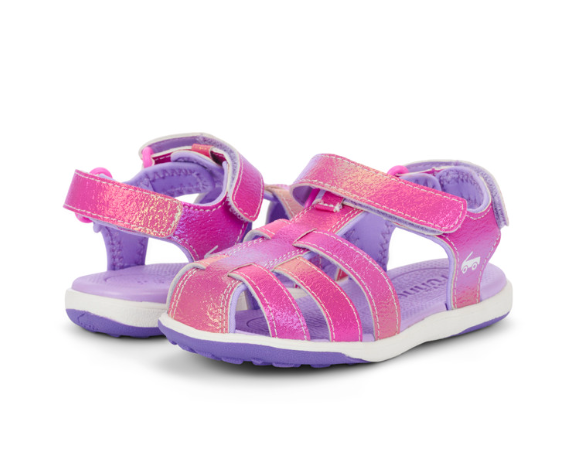 Paley II | Hot Pink/Purple