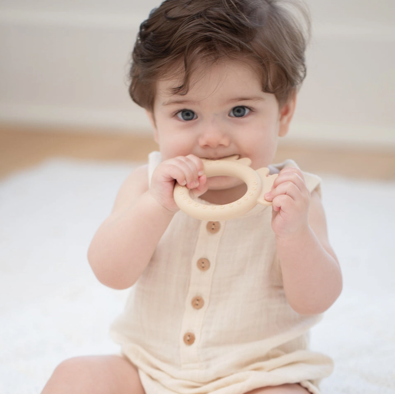 Rattle Teether | Moose