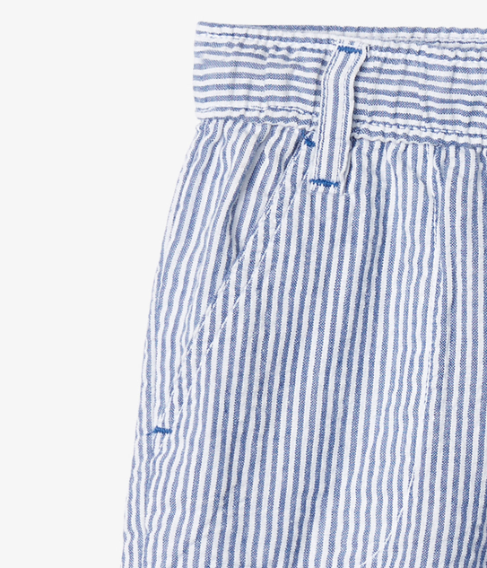 Blue Stripe Woven Shorts