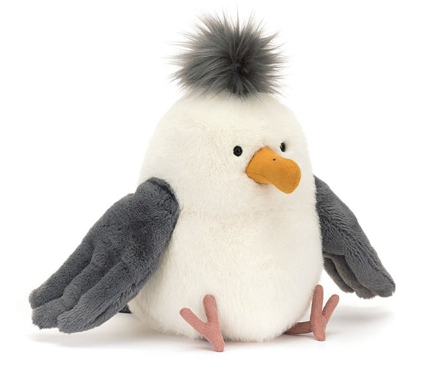 Chip Seagull