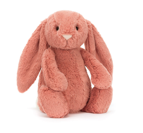 Bashful Sorrel Bunny