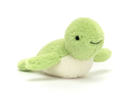 Fluffy Turtle