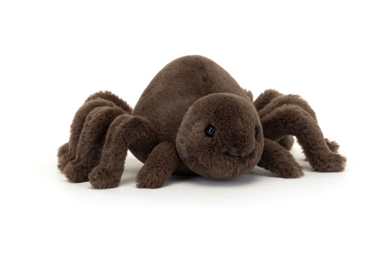 Ooky Spider