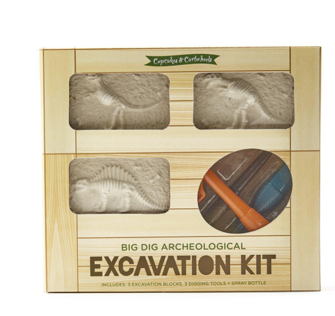 Big Dig Archeological Excavation Kit