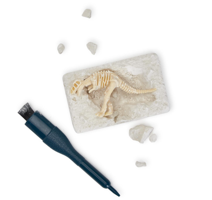 Big Dig Archeological Excavation Kit