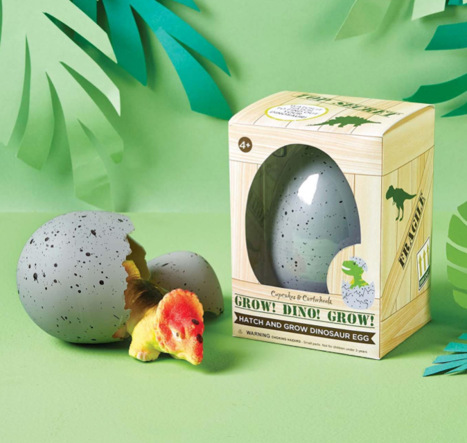 Mystery Growing Dino Egg