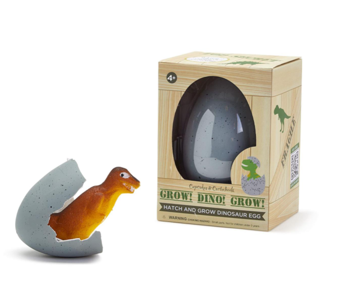 Mystery Growing Dino Egg