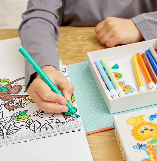 Zoo Coloring Set