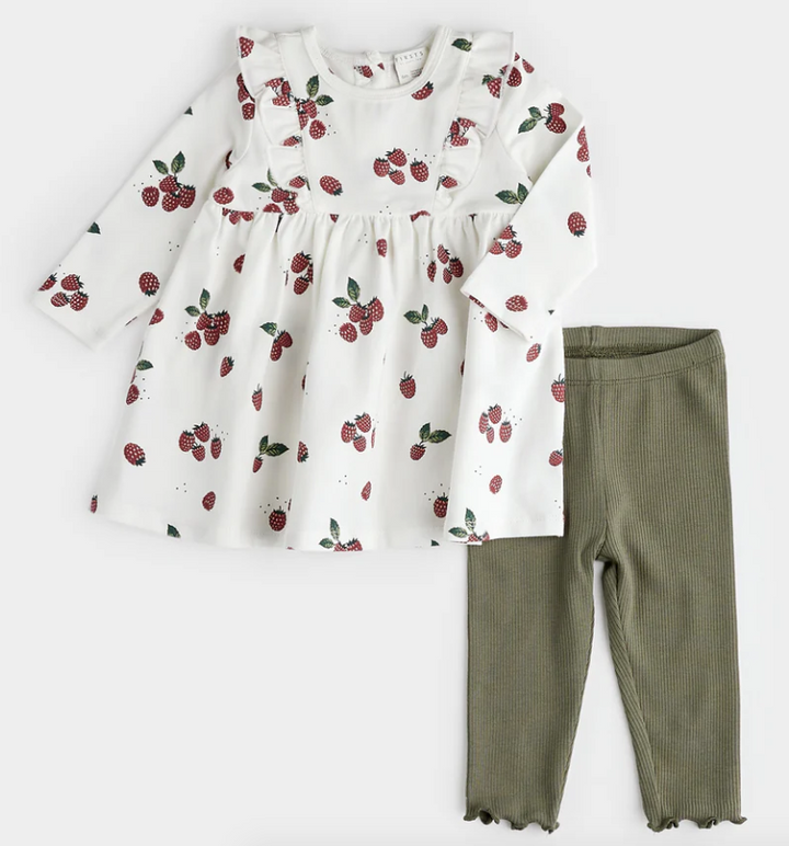 Raspberry Print Jersey Dress Set