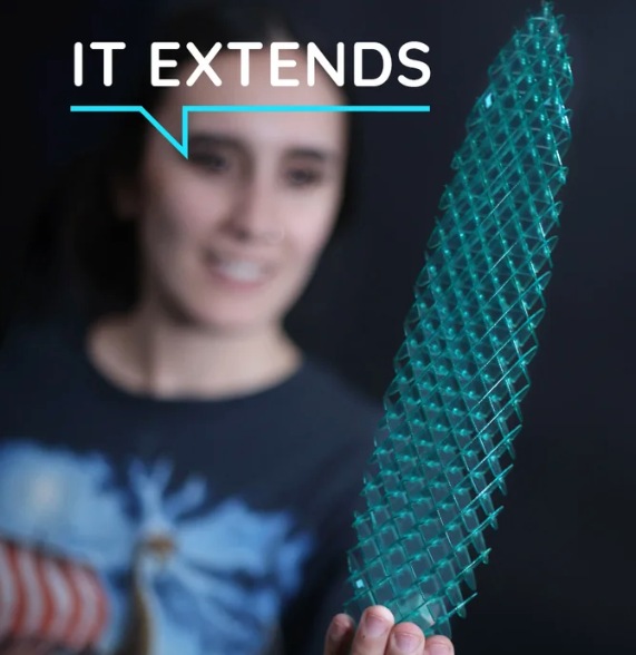 Big Morf Fidget Worm | Blue