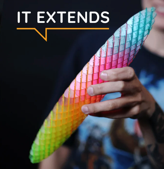 Big Morf Fidget Worm | Rainbow