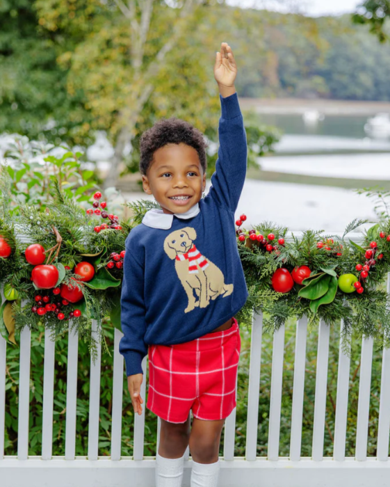 Isaac's Intarsia Sweater  | Nantucket Navy W/Dog