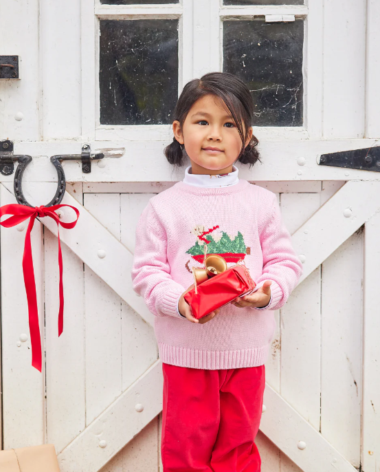 Boy Intarsia Sweater | Pink Holiday Lab