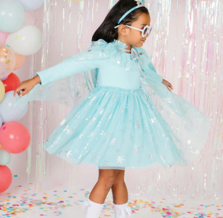 Snow Princess Long Sleeve Tutu Dress