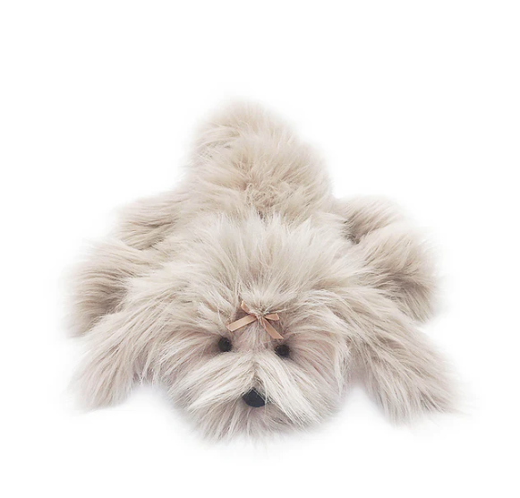Schannel Lux Shih Tzu