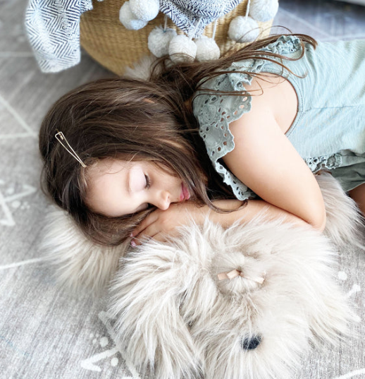 Schannel Lux Shih Tzu