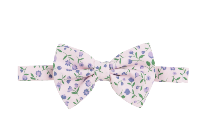 Baylor Bowtie  | Tuxedo Park Tulips