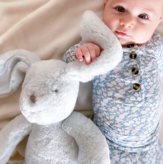 Abbott Blue Bunny