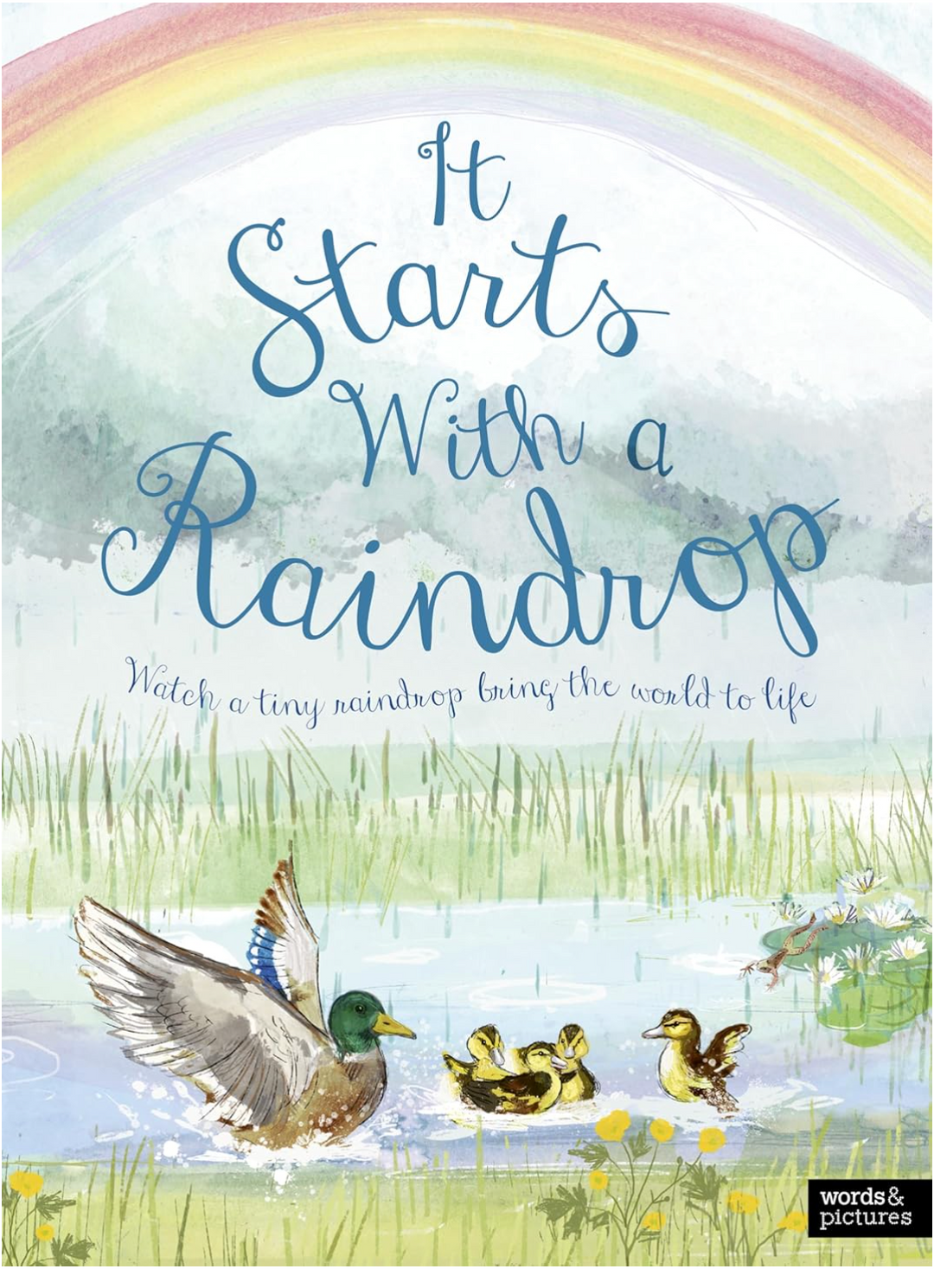 It Starts with a Raindrop