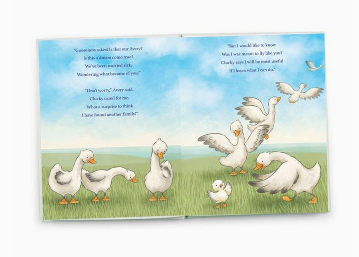 Avery Aviator Learns to Soar Book