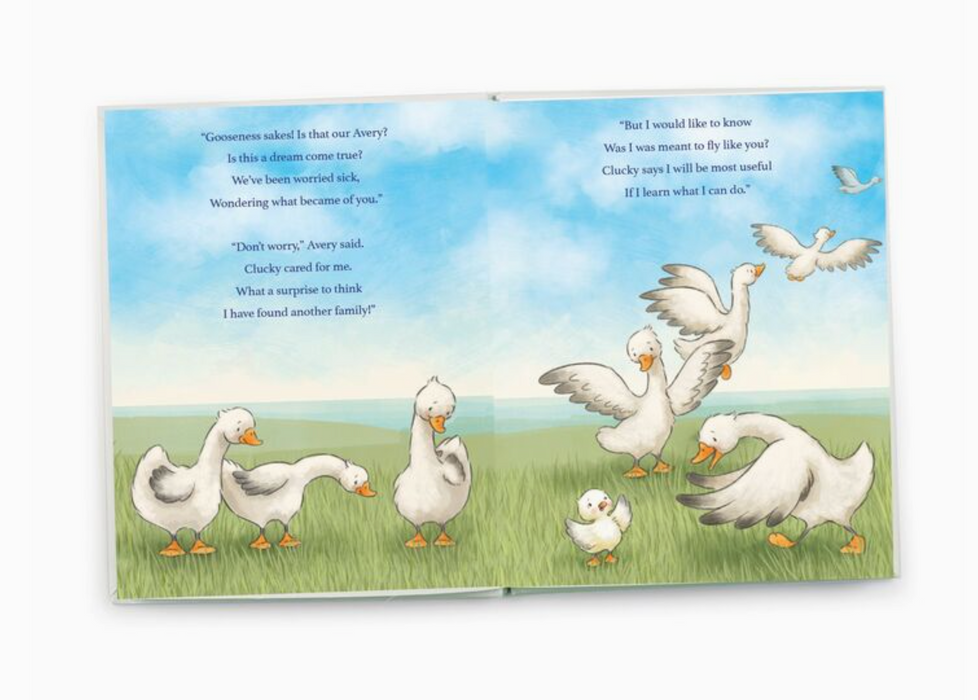 Avery Aviator Learns to Soar Book