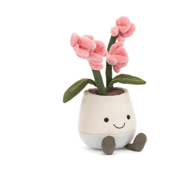 Amuseable Pink Orchid