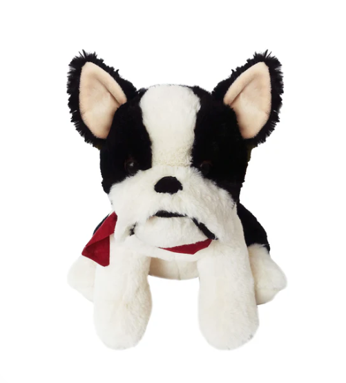 Francois the French Bulldog