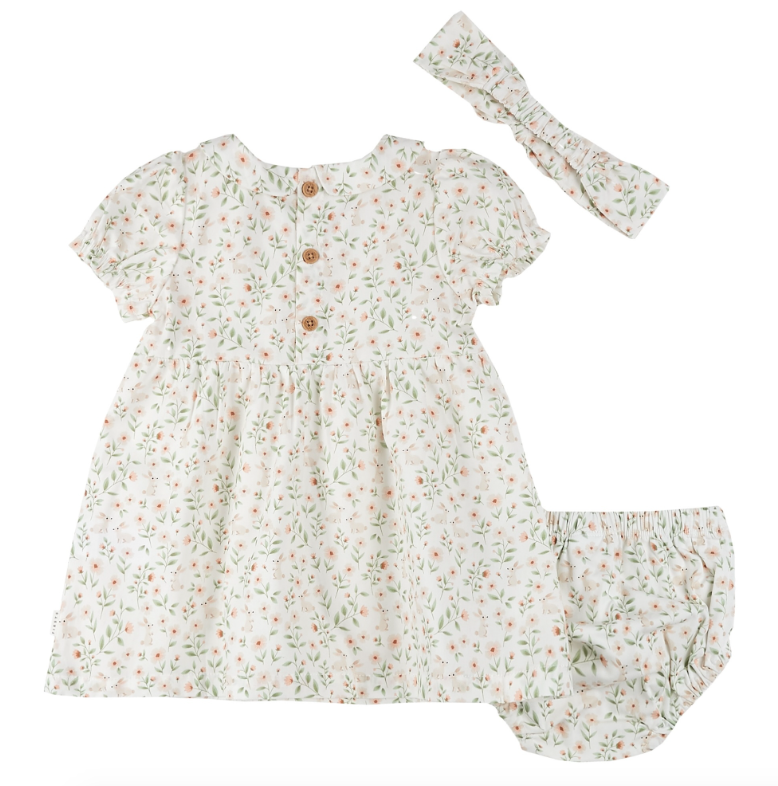 Floral Dress/Bloomer/Headband Set