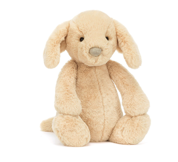 Bashful Luxe Puppy Orlando